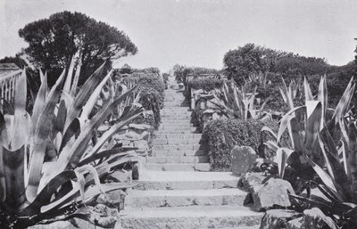 Een stukje in de tuinen van Tresco door English Photographer