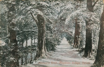 Addisons Walk, Magdalen College, Oxford door English Photographer