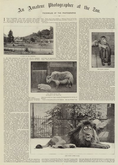 Een amateurfotograaf in de dierentuin door English Photographer