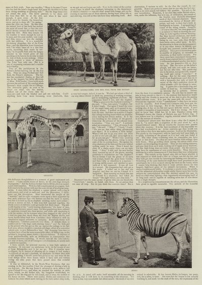 Een amateurfotograaf in de dierentuin door English Photographer