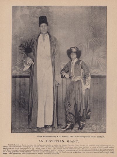 Een Egyptische reus door English Photographer