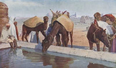 Arabische kameeldrijvers door English Photographer