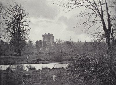 Kasteel van Blarney door English Photographer