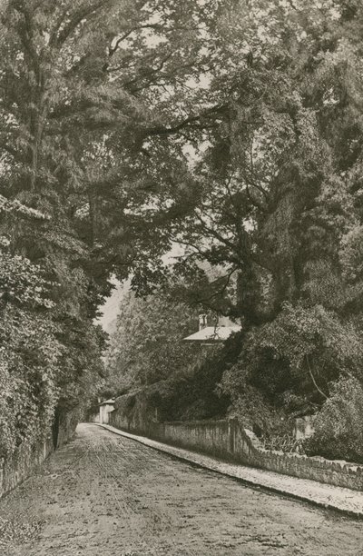 Bonchurch Road, Isle of Wight door English Photographer