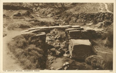 Bronte Bridge, Haworth Moor, Yorkshire door English Photographer