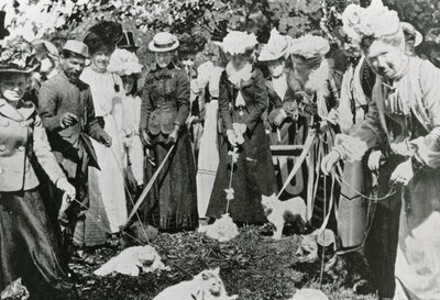 Kattenshow in de Royal Botanic Gardens, Westminster, in 1900 door English Photographer