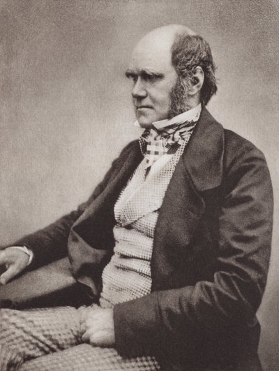 Charles Darwin, portret, ca. 1854, van een foto door Maull & Fox door English Photographer