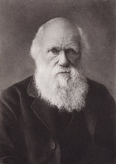Charles Darwin, portret, ca. 1880 door English Photographer