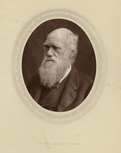 Charles Robert Darwin door English Photographer