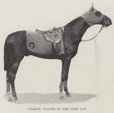 Cyllene, winnaar van de Gold Cup door English Photographer