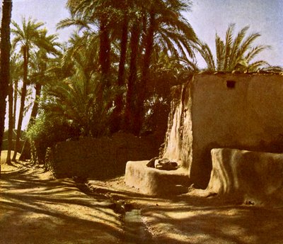 Egypte - Karnak door English Photographer