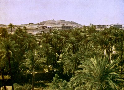 Egypte - Aswan door English Photographer