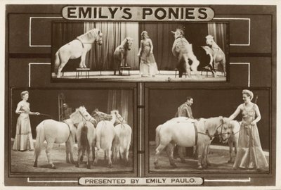 Emily Paulo en haar getrainde pony