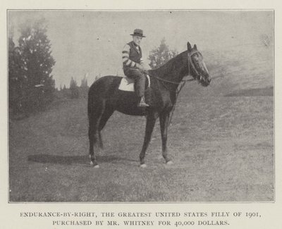 Endurance-by-Right, het grootste Amerikaanse merrieveulen van 1901, gekocht door Mr Whitney voor 40.000 dollar door English Photographer