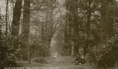 Algemeen uitzicht op The Grove bij Alexandra Palace door English Photographer