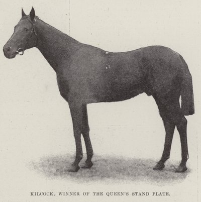 Kilcock, winnaar van de Queens Stand Plate door English Photographer