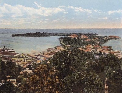 Kingston, Jamaica: Vogelvlucht van Port Antonio door English Photographer