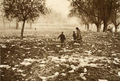 Met afval bezaaid gras op Hampstead Heath de dag na een Bank Holiday, uit Wonderful London, gepubliceerd 1926-27 door English Photographer