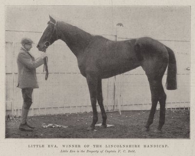 Little Eva, winnaar van de Lincolnshire Handicap door English Photographer