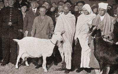 Mahatma Gandhi arriveert in Londen, Engeland in 1931 met zijn discipel, Madeleine Slade, en zijn twee geiten, uit Het Verhaal van Vijfentwintig Jaar, gepubliceerd 1935 door English Photographer