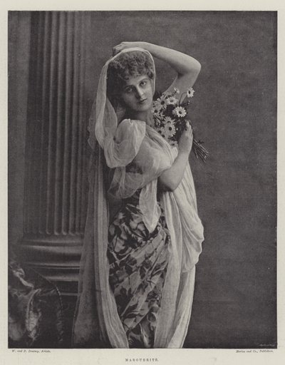Marguerite door English Photographer
