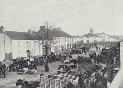 Marktdag in Abbeyleix door English Photographer