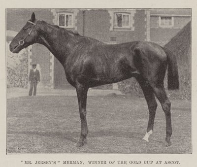 De heer Jerseys Merman, winnaar van de Gold Cup in Ascot door English Photographer