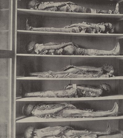 Mummies van priesters, de lichamen van priesters gebalsemd voordat Aaron en zijn zonen werden aangesteld door English Photographer