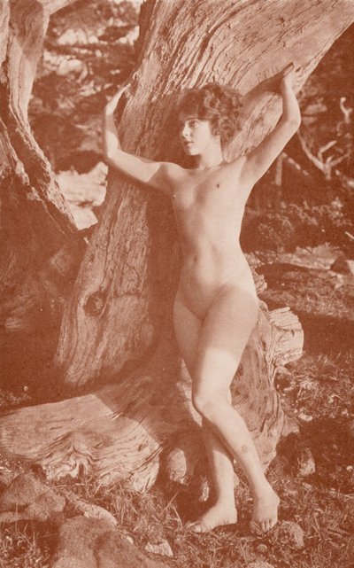 Nudistische kunst: Aards door English Photographer