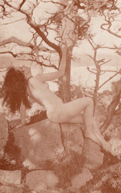Naturistische kunst: Tanglewood door English Photographer