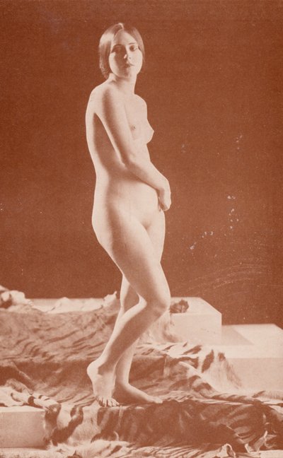 Nudistische kunst: Tijgerdame door English Photographer