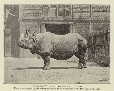 Oude Jim, de Neushoorn in de Dierentuin door English Photographer