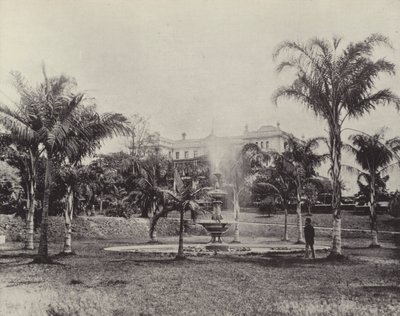 Palmen en Fontein, Botanische Tuinen, Brisbane door English Photographer