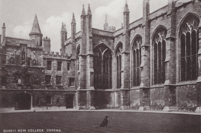Binnenplaats New College, Oxford door English Photographer