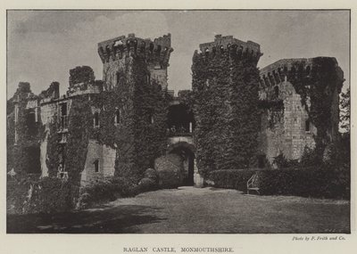 Kasteel Raglan, Monmouthshire door English Photographer