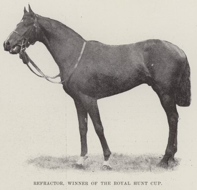 Refractor, winnaar van de Royal Hunt Cup door English Photographer