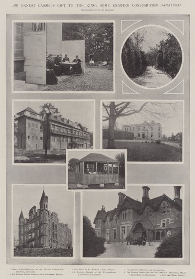 Sir Ernest Cassels gift aan de koning, enkele bestaande sanatoria voor tuberculose door English Photographer