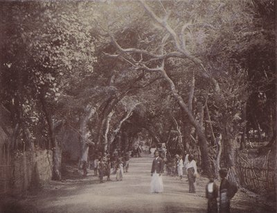 Skinners Road, Colombo door English Photographer
