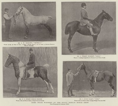 Enkele Prijswinnaars op de Koninklijke Dublin Paardenshow door English Photographer