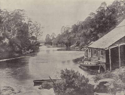 Supply River, Tasmanië door English Photographer