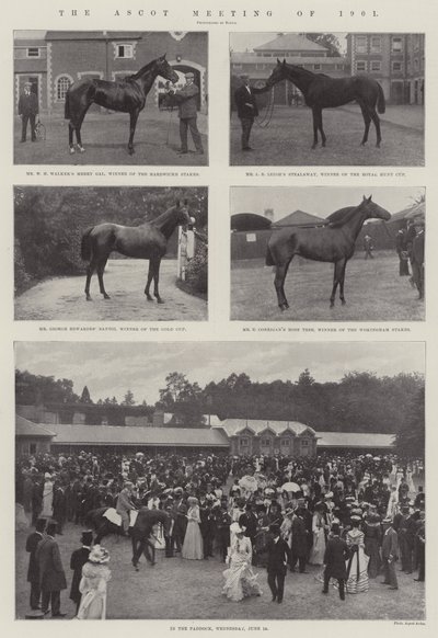 De Ascot Bijeenkomst van 1901 door English Photographer