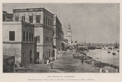Het Strand van Zanzibar door English Photographer