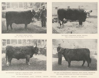 De Birmingham Fat Stock Show, koninklijke en andere prijswinnaars door English Photographer