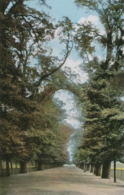De Brede Wandelweg door English Photographer