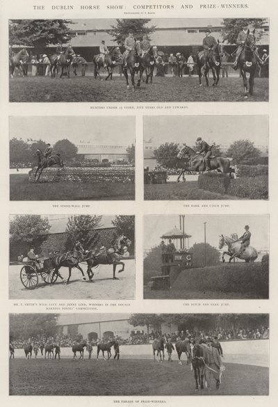 De Dublin Paardenshow, Deelnemers en Prijswinnaars door English Photographer