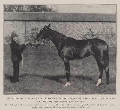 De hertog van Portlands William de Derde, winnaar van de Newmarket Stakes, en een van de Derby favorieten door English Photographer