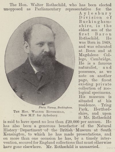 De Eerwaarde Walter Rothschild, Nieuwe MP voor Aylesbury door English Photographer