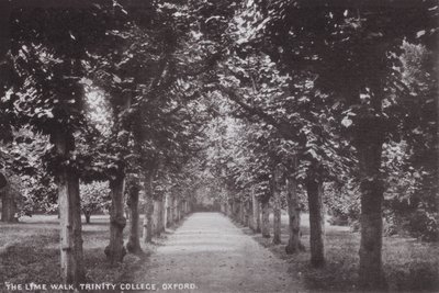 De Linde Wandelgang, Trinity College, Oxford door English Photographer