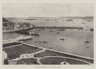 De Marine Manoeuvres, de Vloot in Torbay door English Photographer