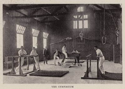 De nieuwe gebouwen van Kings College School op Wimbledon Common, de gymzaal door English Photographer